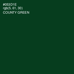 #053D1E - County Green Color Image